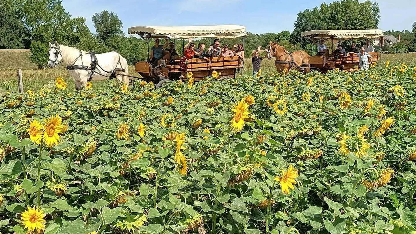 Les-Attelages-de-Villandry_Crédits-Les-Attelages-de-Villandry_Fin-31122028-(1)