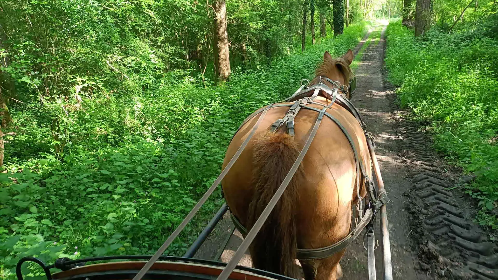 Les-Attelages-de-Villandry_Crédits-Les-Attelages-de-Villandry_Fin-31122028-(3)