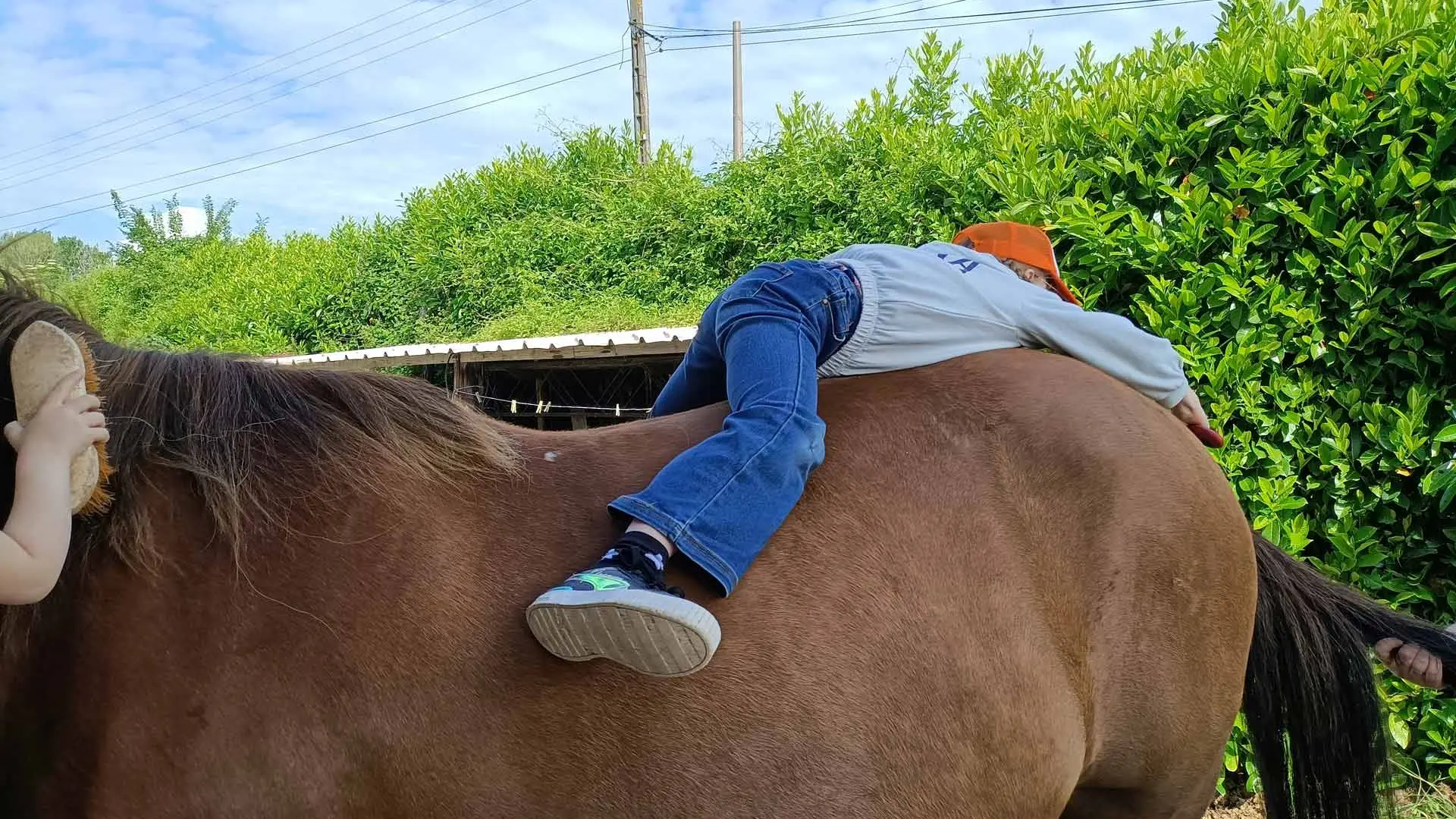 Les-Attelages-de-Villandry_Crédits-Les-Attelages-de-Villandry_Fin-31122028-(4)