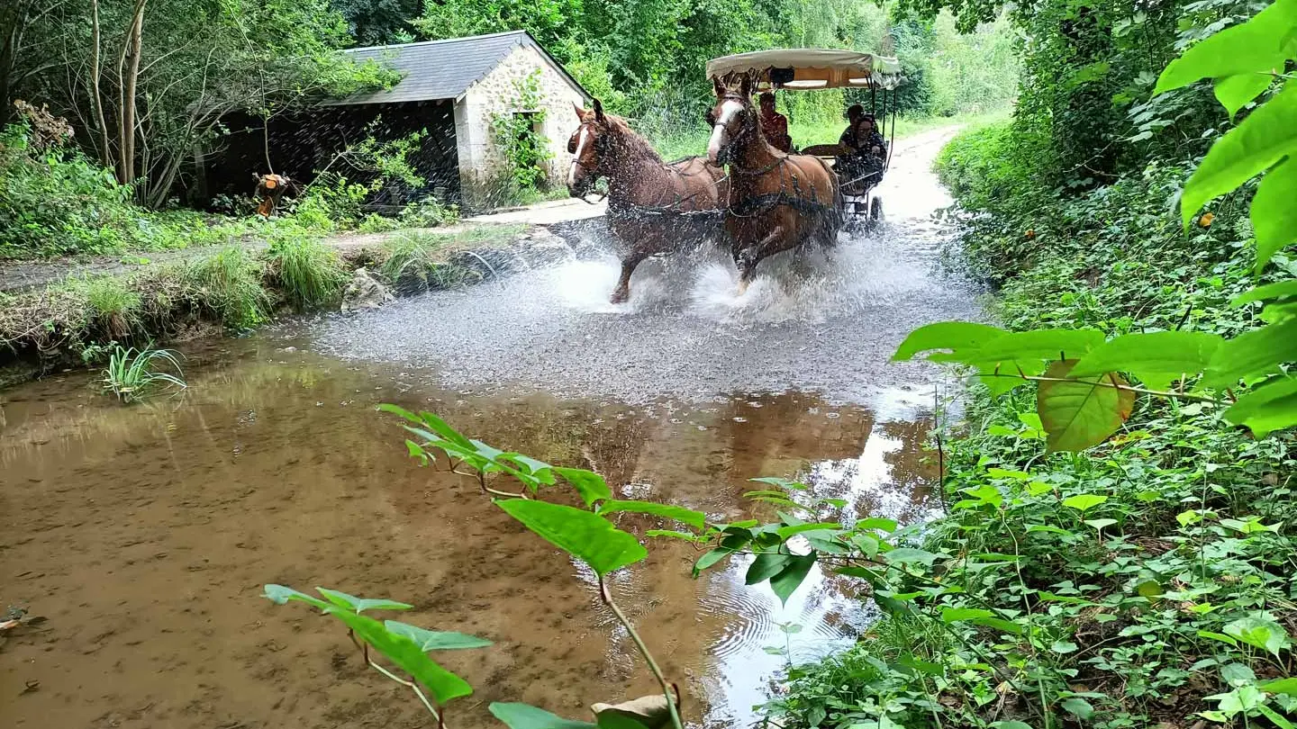 Les-Attelages-de-Villandry_Crédits-Les-Attelages-de-Villandry_Fin-31122028-(5)