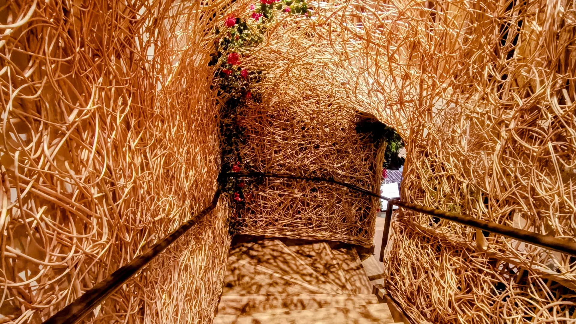 MaisonGloria_ADTTouraine-MGourdin-2035 (3)