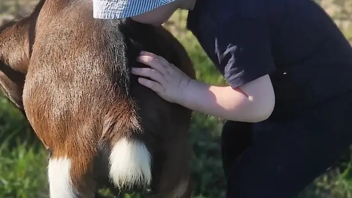 Mini ferme Domaine de la Borderie