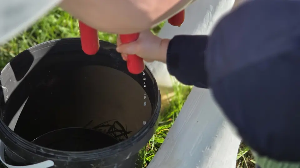 Mini ferme Domaine de la Borderie