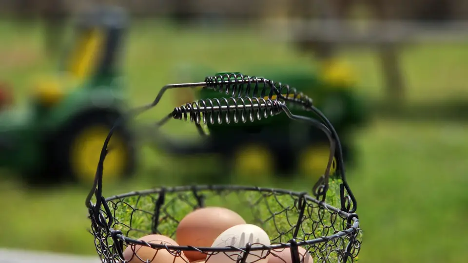 Mini ferme Domaine de la Borderie