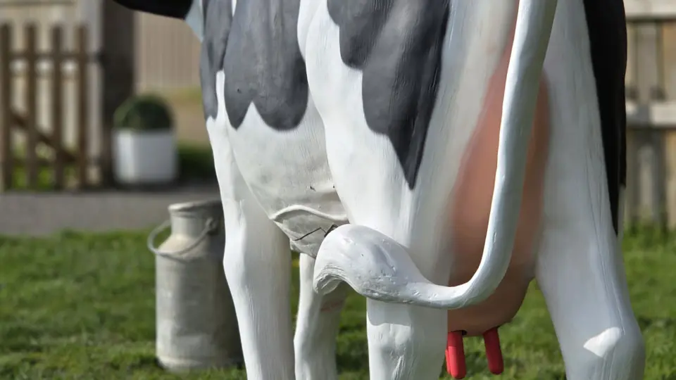 Mini ferme Domaine de la Borderie