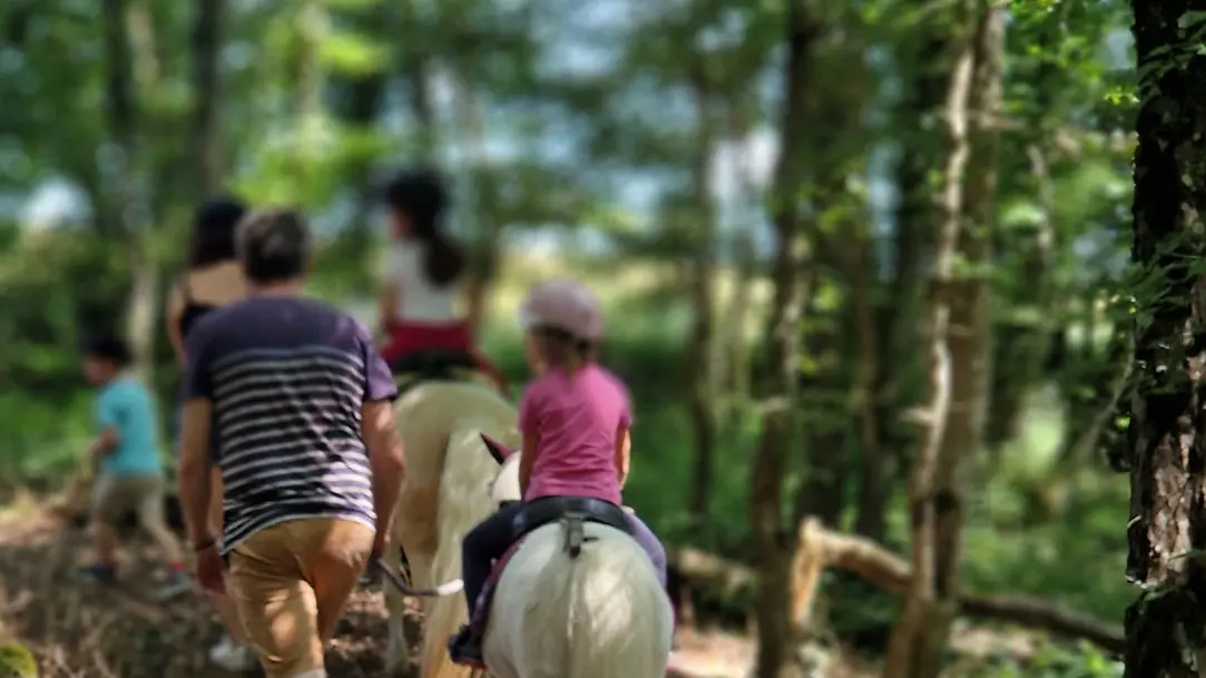 Mini ferme Domaine de la Borderie