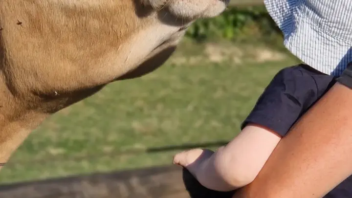 Mini ferme Domaine de la Borderie