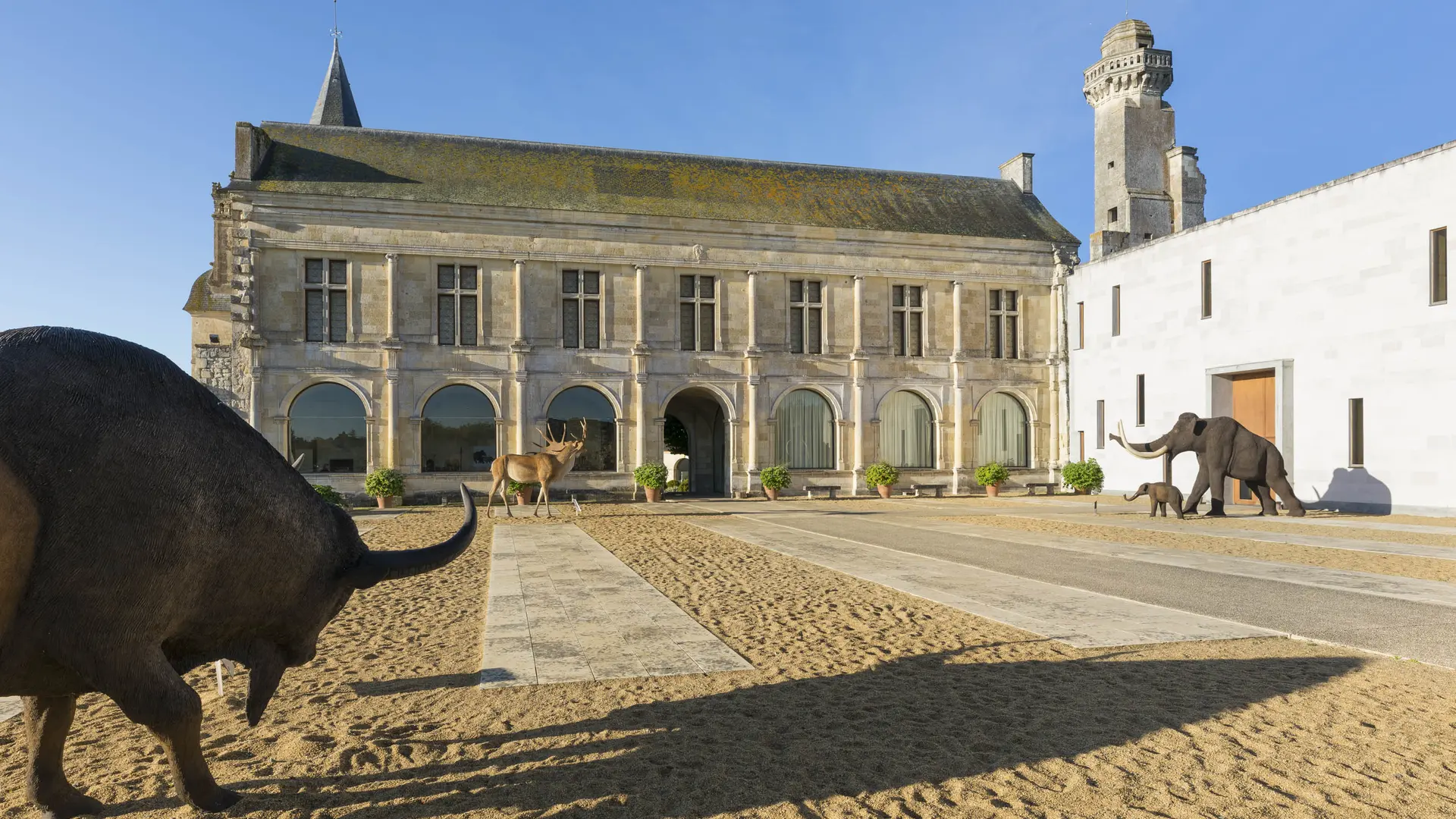 Musée de la Préhistoire du Grand-Pressigny