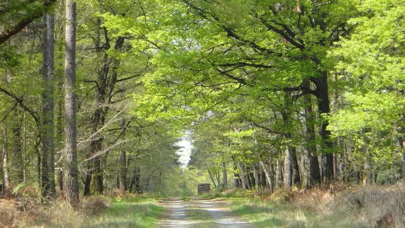 Val de Loire Écotourisme