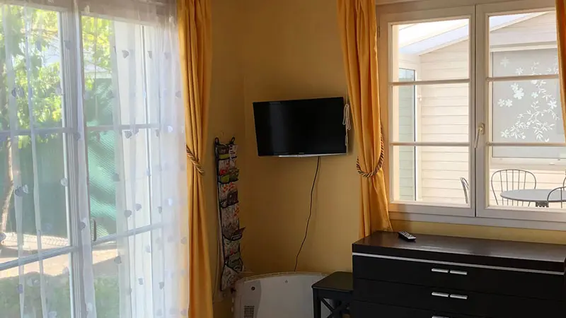 Agapanthes - Primevères