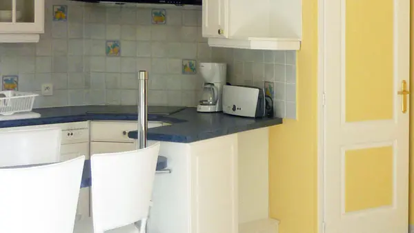 Agapanthes - Primevères