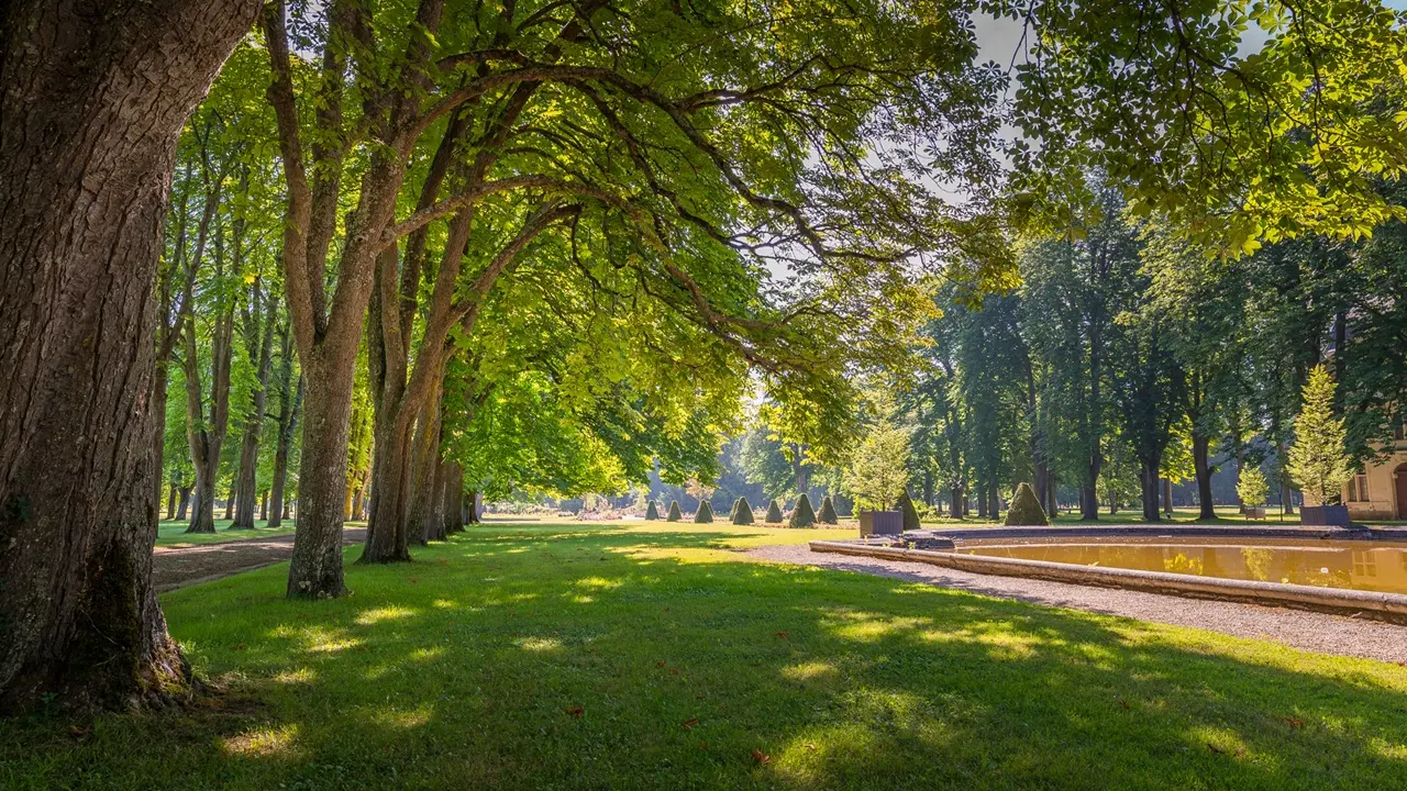 Parc de Richelieu - France