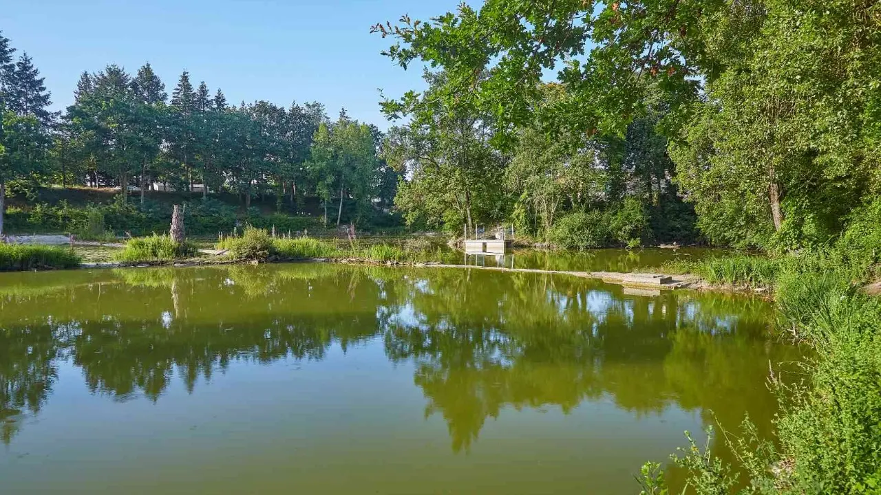 Plan d'eau du camping