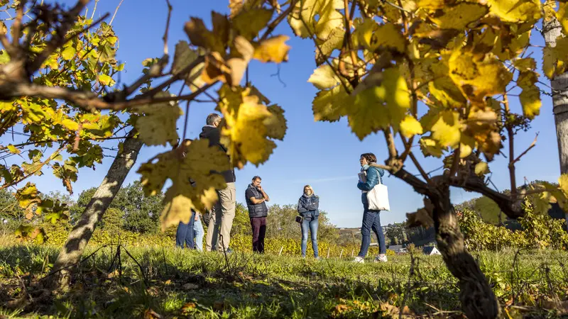 RV_dans_les_Vignes_1614_credit_DDarrault_CRTCentreValdeLoire