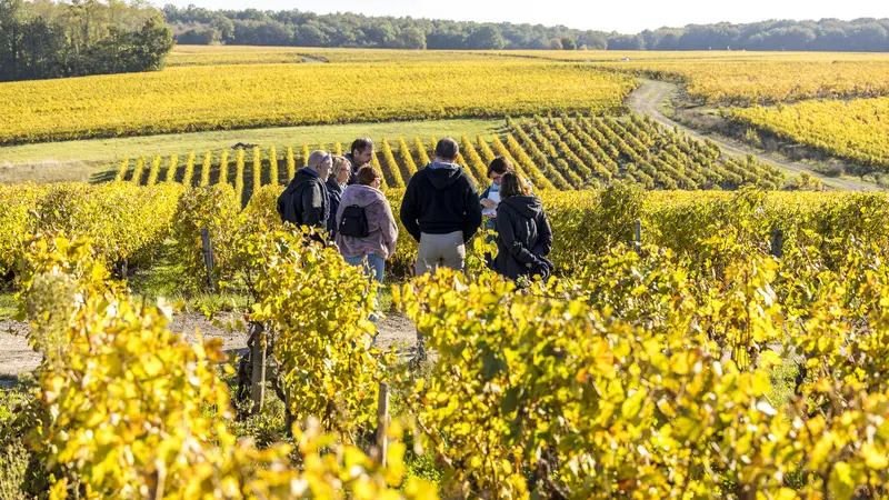 RV_dans_les_Vignes_1889_credit_DDarrault_CRTCentrevaldeLoire