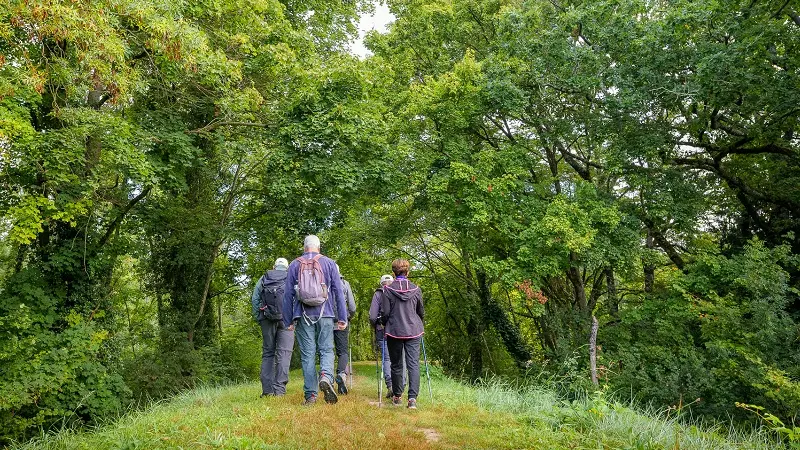 Randonnée pédestre - Vernou-sur-Brenne
