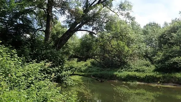 Randonnée dans le bocage de Bois Chétif