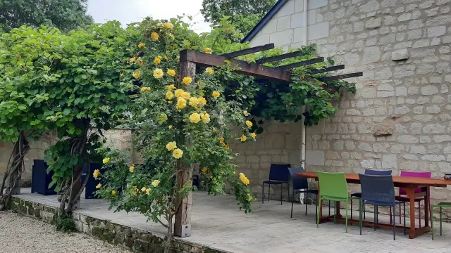 SAVIGNY EN VERON- Chambre d'hôtes - La magnanerie (5)