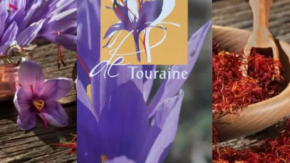 SAINTE-MAURE DE TOURAINE-TOURAINE TRUFFES ET SAFRAN-Safraniers de Touraine