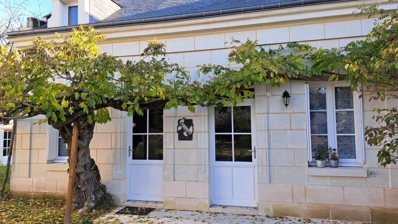 Savigny en véron-GITE-La Magnanerie-1 Petit Magnan