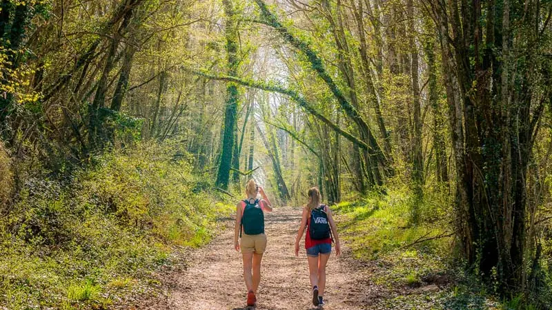 Sentier d'interprétation de la vallée troglodytique des coteaux - Draché