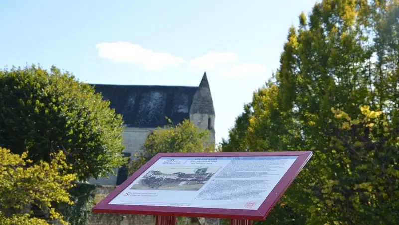 SentierPatrimoineBourgueil - ©N. Bonneau