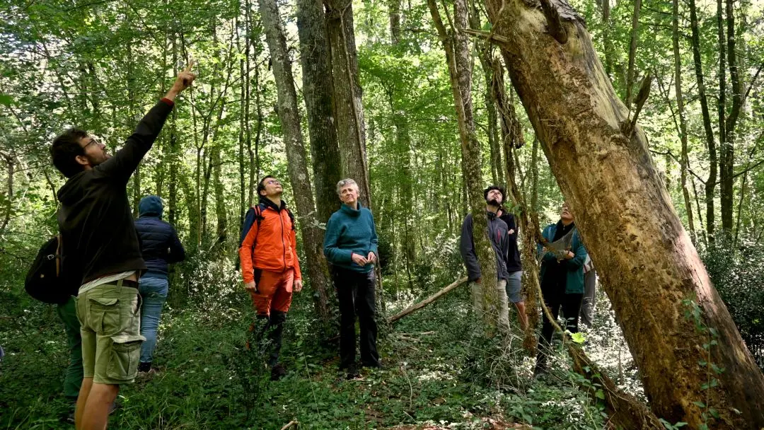 Traces-de-pic©Baptiste-Dubanchet