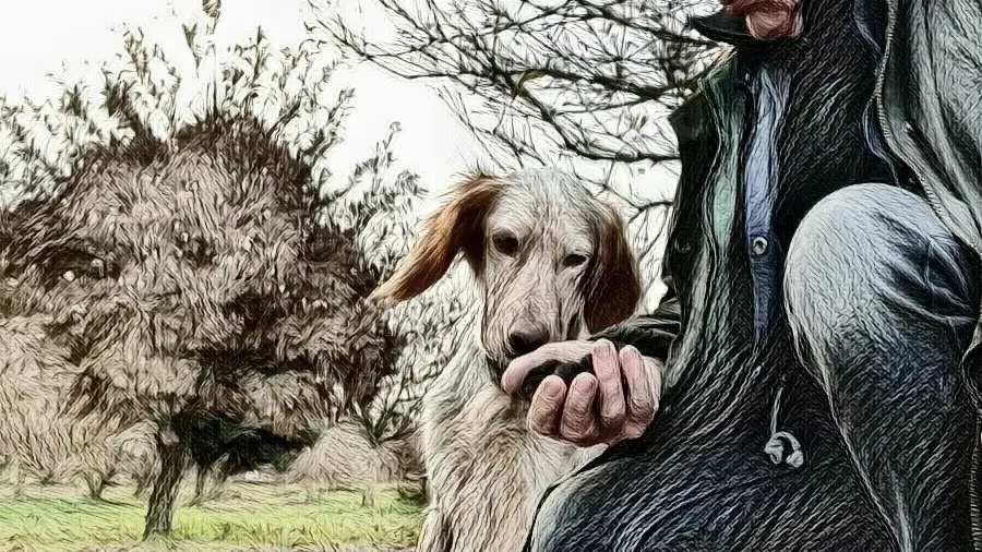 SAINTE-MAURE DE TOURAINE-TOURAINE TRUFFES ET SAFRAN-Un homme  et sa complice