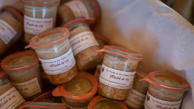 Des poules et des vignes