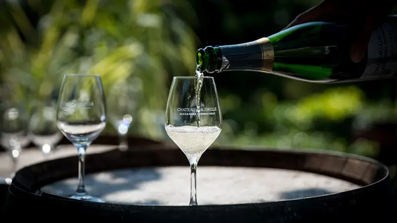 Vins-3