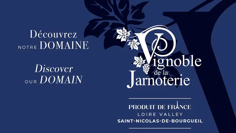 Vignoble de la Jarnoterie - Saint-Nicolas-de-Bourgueil  (3)