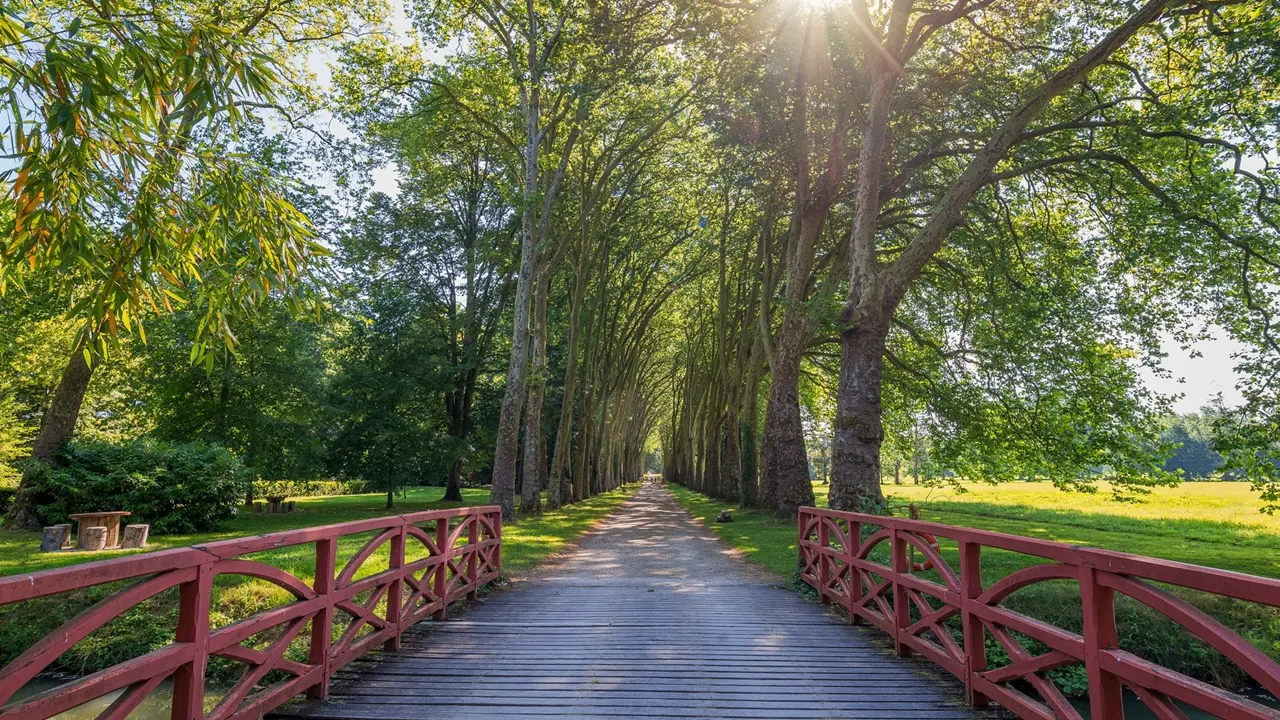Parc de Richelieu - France