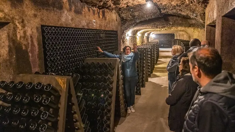 Visite_cave_ARobert_2102_credit_DDarrault_CRTCentrevaldeLoire