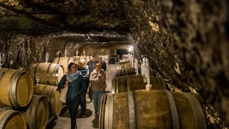 Visite_cave_ARobert_2209_credit_DDarrault_CRTCentrevaldeLoire