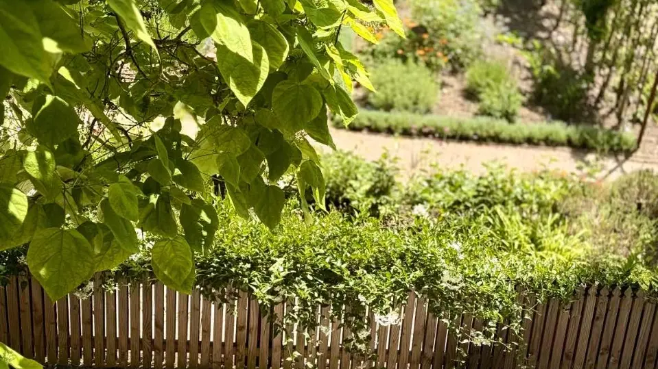 Vue Unique sur le Jardin de Curé