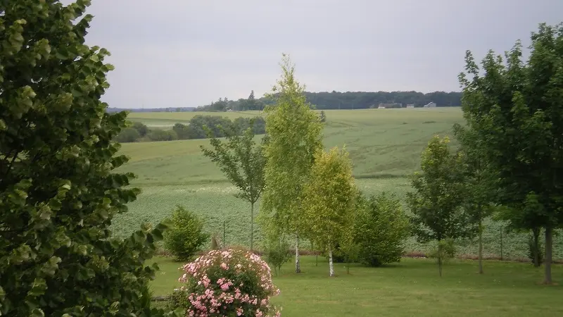 Vue jardin-Cussay