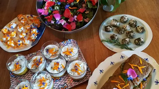 cabane a plantes - loches-val de loire