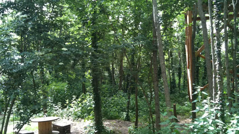 La cabane du pêcheur - La Chapelle-aux-Naux, France