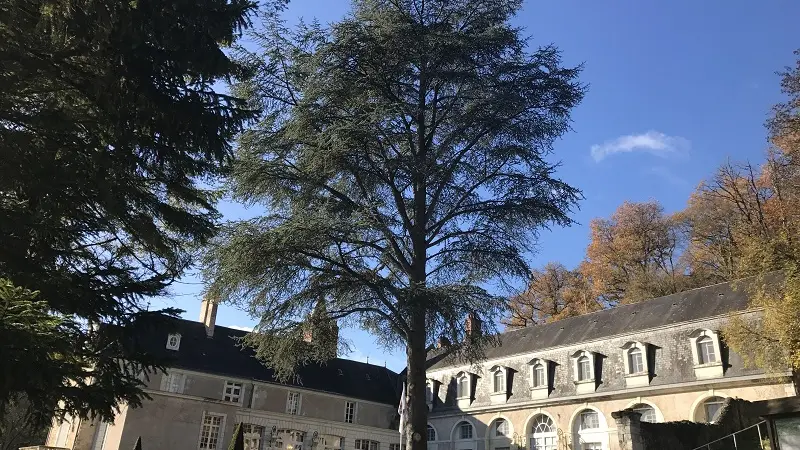Château de Beauvois - Val de Loire, France.