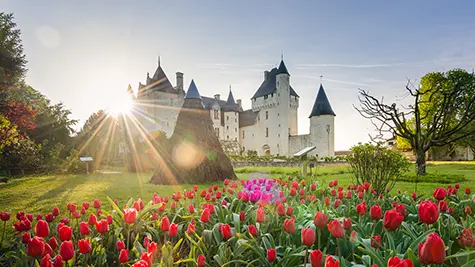 Le château du Rivau, à Lémeré.