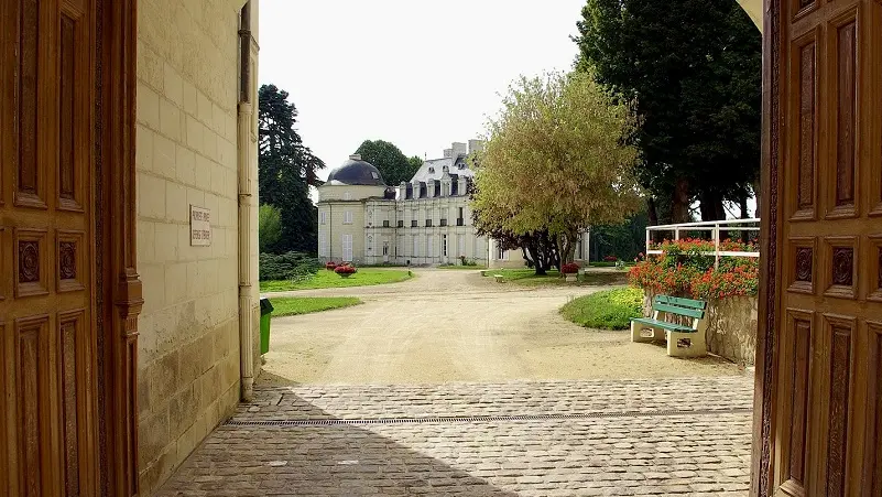 Chateau royal de Benays - Benais