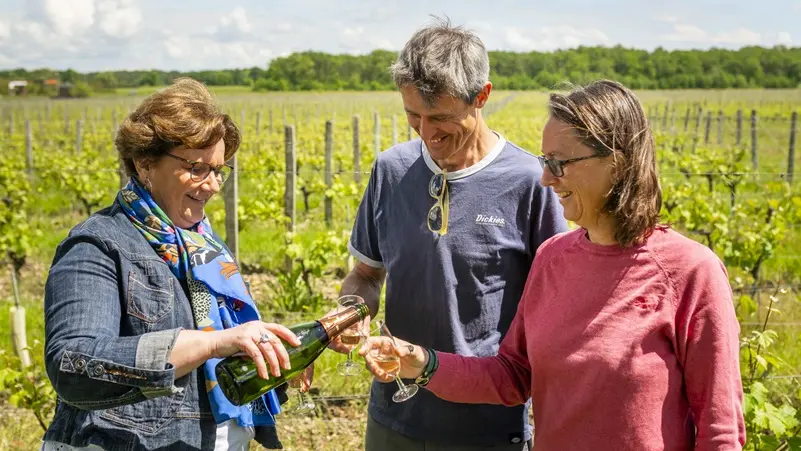 Chateau de l'Aulée - Dégustation dans les vignes