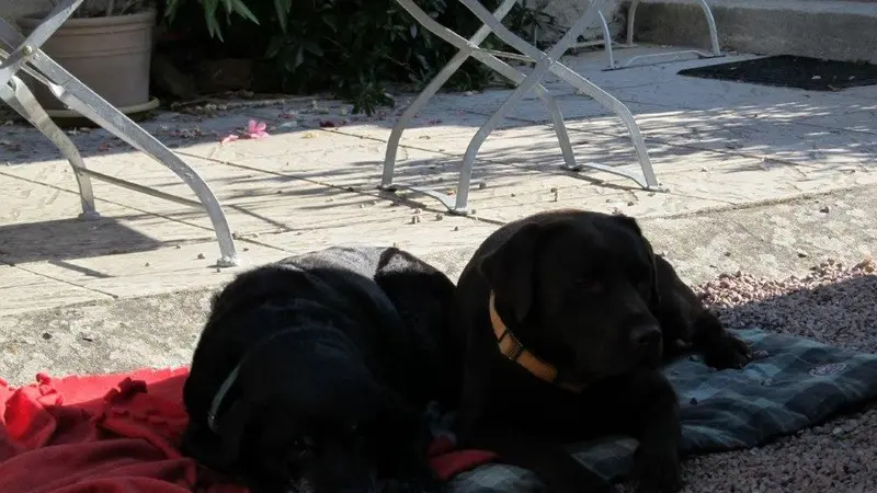 Le clos de la Garde - Anché