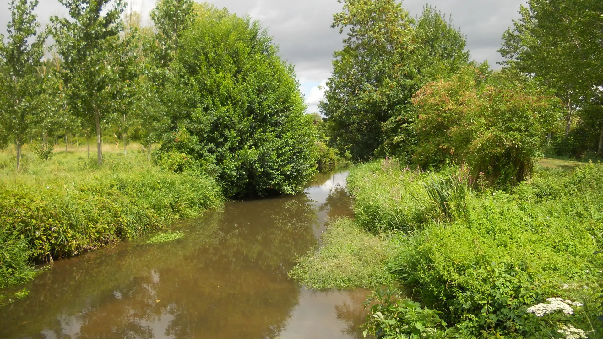 Randonnée de Champigny-sur-Veude