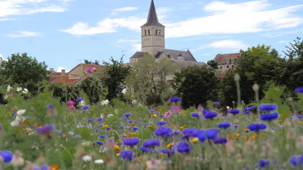Collegiale Saint Georges - Faye la Vineuse