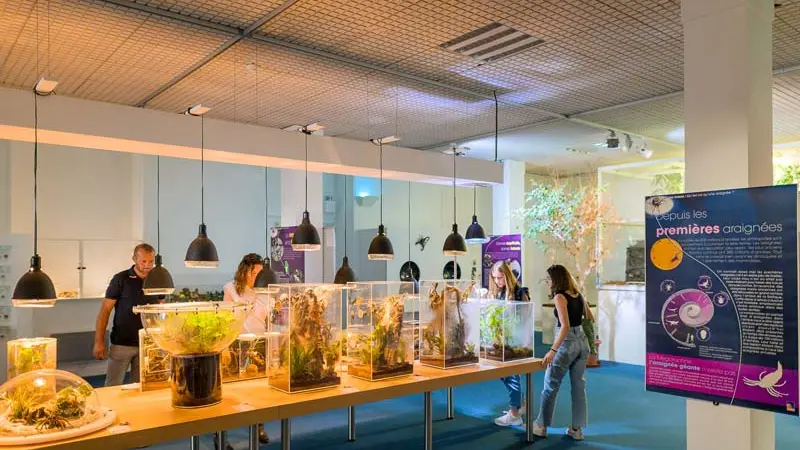 Muséum d'histoire naturelle de Tours