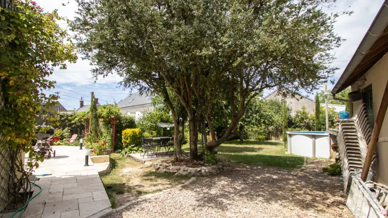 exterieur_cour_arbre
