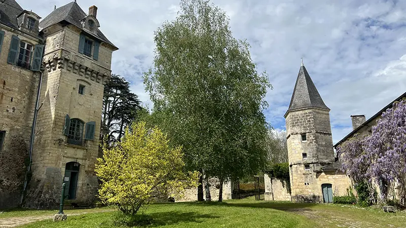 La petite chouette - Chateau de La Celle-Guénand