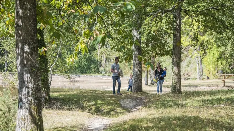 foret-tours-preuilly-preuilly-sur-claise-valdeloire1-2