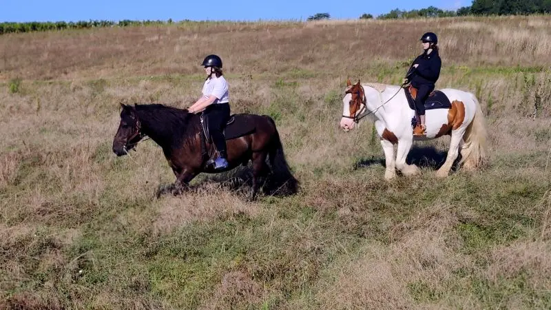 Horse Journey - Balade en couple